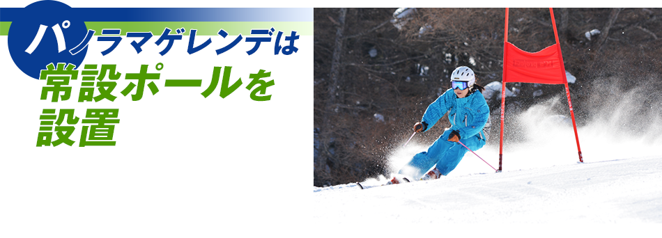 パノラマゲレンデは常設ポールを設置