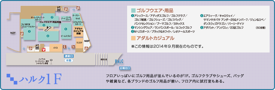 ハルク1F