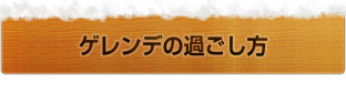 ゲレンデの過ごし方