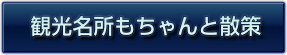 観光名所もちゃんと散策