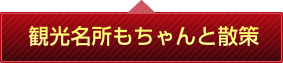 観光名所もちゃんと散策