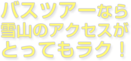 バスツアーなら雪山のアクセスがとってもラク！