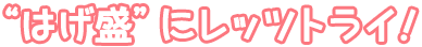 はげ盛にレッツトライ！