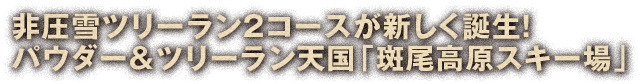 非圧雪ツリーラン2コースが新しく誕生！パウダー＆ツリーラン天国「斑尾高原スキー場」