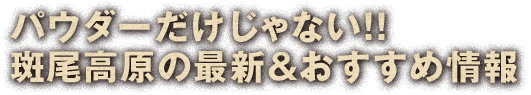 パウダーだけじゃない!!斑尾高原の最新＆おすすめ情報