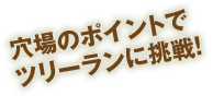穴場のポイントでツリーランに挑戦!