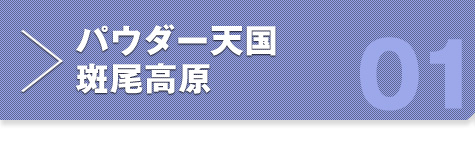 パウダー天国 斑尾高原