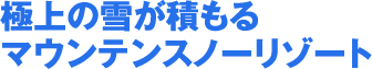 極上の雪が積もる マウンテンスノーリゾート