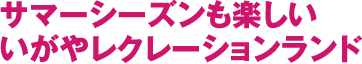 サマーシーズンも楽しい いがやレクレーションランド