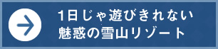 1日じゃ遊びきれない魅惑の雪山リゾート