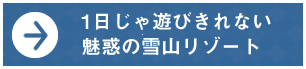 1日じゃ遊びきれない魅惑の雪山リゾート