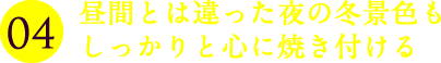 昼間とは違った夜の冬景色もしっかりと心に焼き付ける