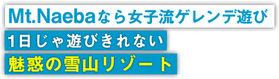 Mt.Naebaなら女子流ゲレンデ遊び 1日じゃ遊びきれない魅惑の雪山リゾート