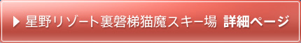 星野リゾートアルツ磐梯 詳細ページ