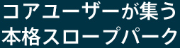 コアユーザーが集う 本格スロープパーク