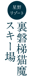 裏磐梯猫魔スキー場