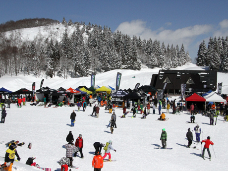 SBJ on SNOW　レポート写真2