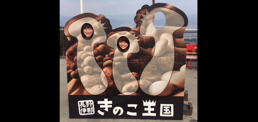 きのこの収穫体験が出来る「長野・伊那きのこ王国」