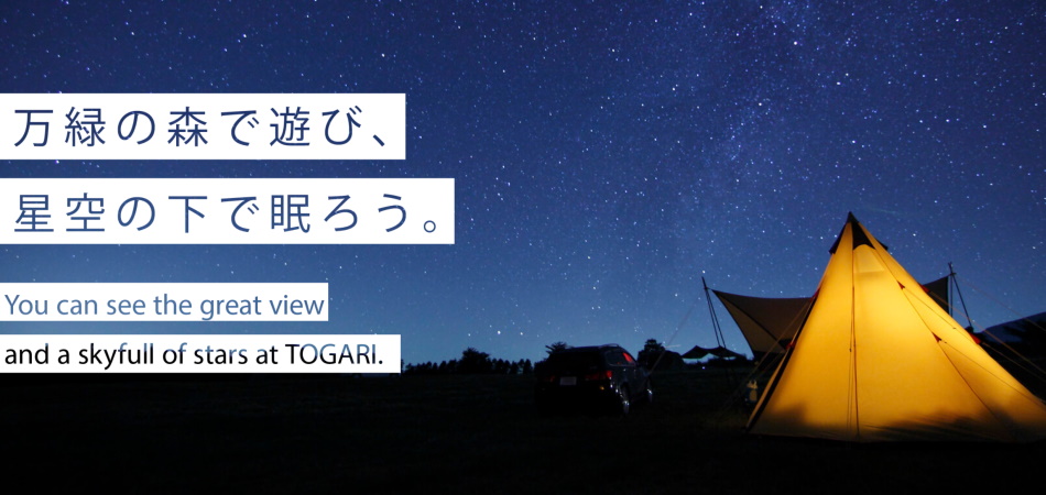 万緑の森で遊び、星空の下で眠ろう。