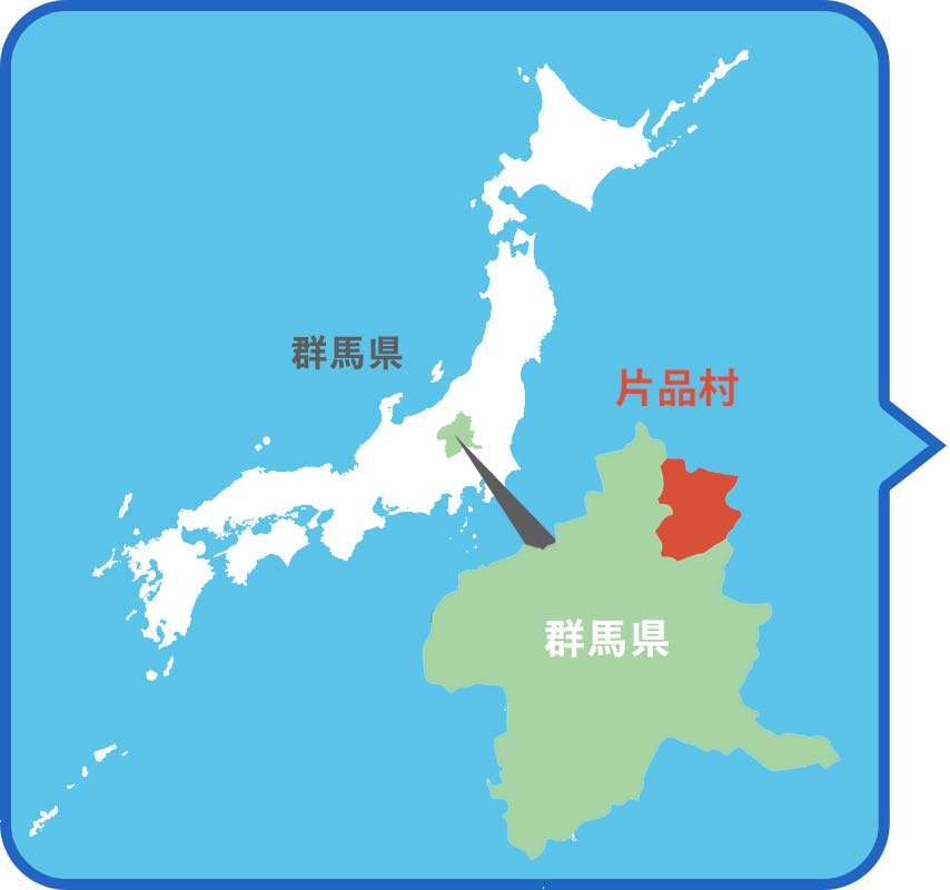 群馬県の位置が分かる地図