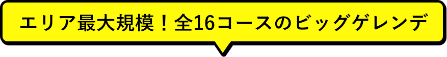 エリア最大規模！全16コースのビッグゲレンデ