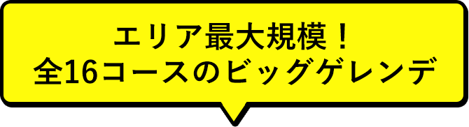 エリア最大規模！全16コースのビッグゲレンデ