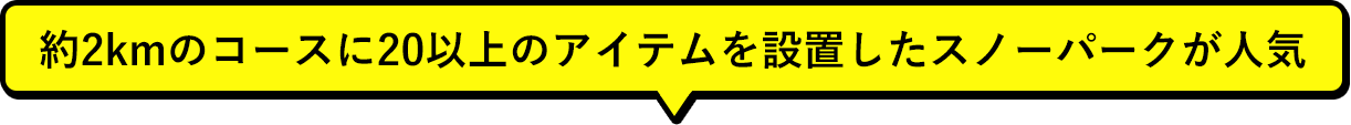 約2kmのコースに20以上のアイテムを設置したスノーパークが人気