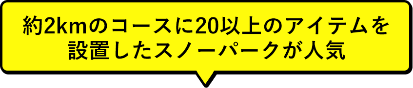 約2kmのコースに20以上のアイテムを設置したスノーパークが人気