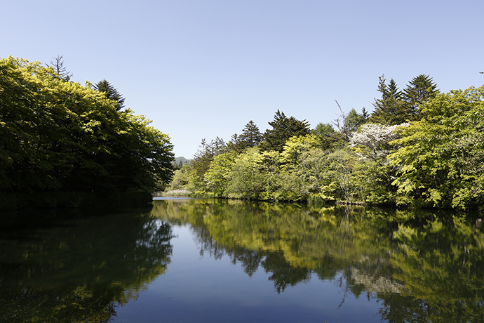 避暑地“軽井沢”で涼夏を満喫！“サイプレス ラウンジコンサート”毎日開催!!