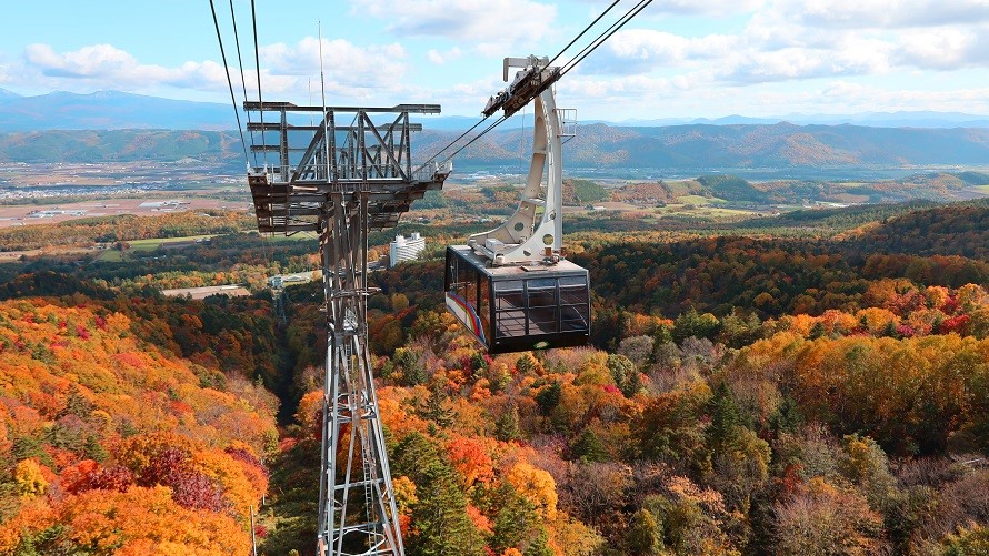 北海道・富良野スキー場でワンちゃんと一緒に「絶景空中散歩」。今シーズンも標高900mのゲレンデで「ドッグラン」を同時開催