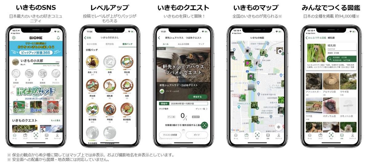長野県茅野市・東急リゾートタウン蓼科にて、9月21日（土）から生き物観察イベントを開催