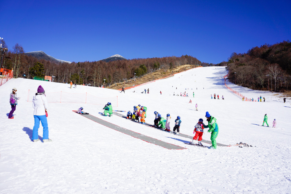スキーヤー専用のゲレンデでお子様も安心スキーデビュー！富士見高原スキースクール 【常設】 （長野県・富士見高原スキー場）| スキー・スノーボードのスクール検索＆レッスン予約はSTeach