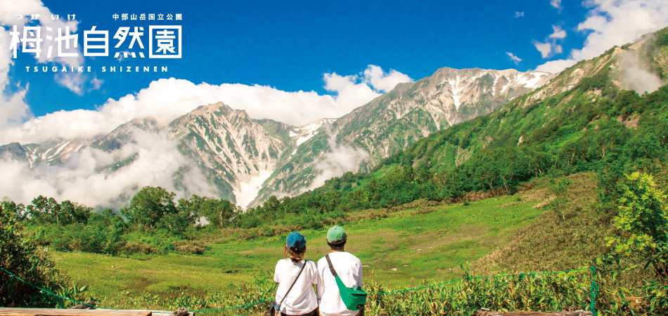 長野県・栂池マウンテンリゾートがグリーンシーズン営業中。北アルプスの絶景と高山植物を満喫