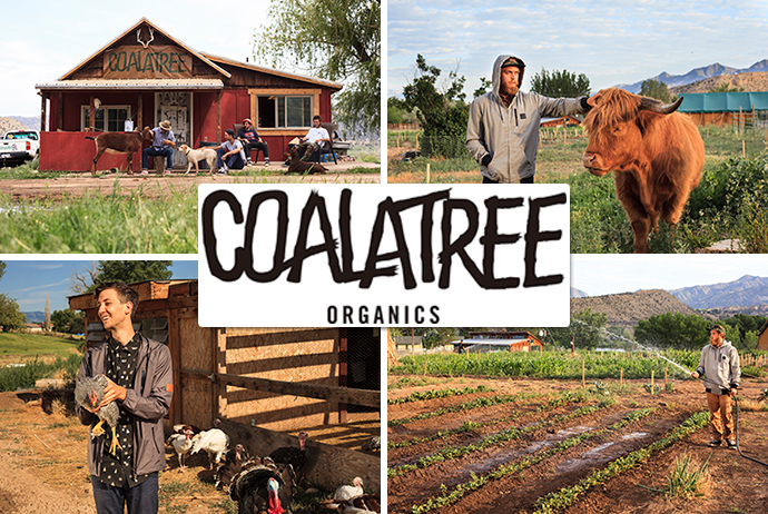 コロラド発のオーガニックアパレルブランド”COALATREE ORGANICS”FALL13コレクションから取扱いをスタートします！