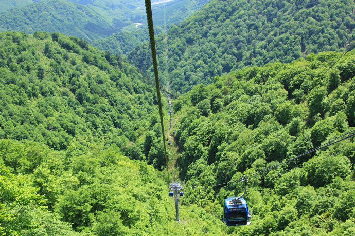 5つのゴンドラ・ロープウェーが乗り放題！Mt.Naeba＆八海山で「空旅」を満喫プラン