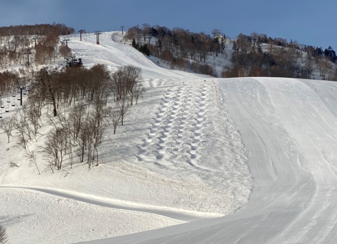 5つのゴンドラ・ロープウェーが乗り放題！Mt.Naeba＆八海山で「空旅」を満喫プラン