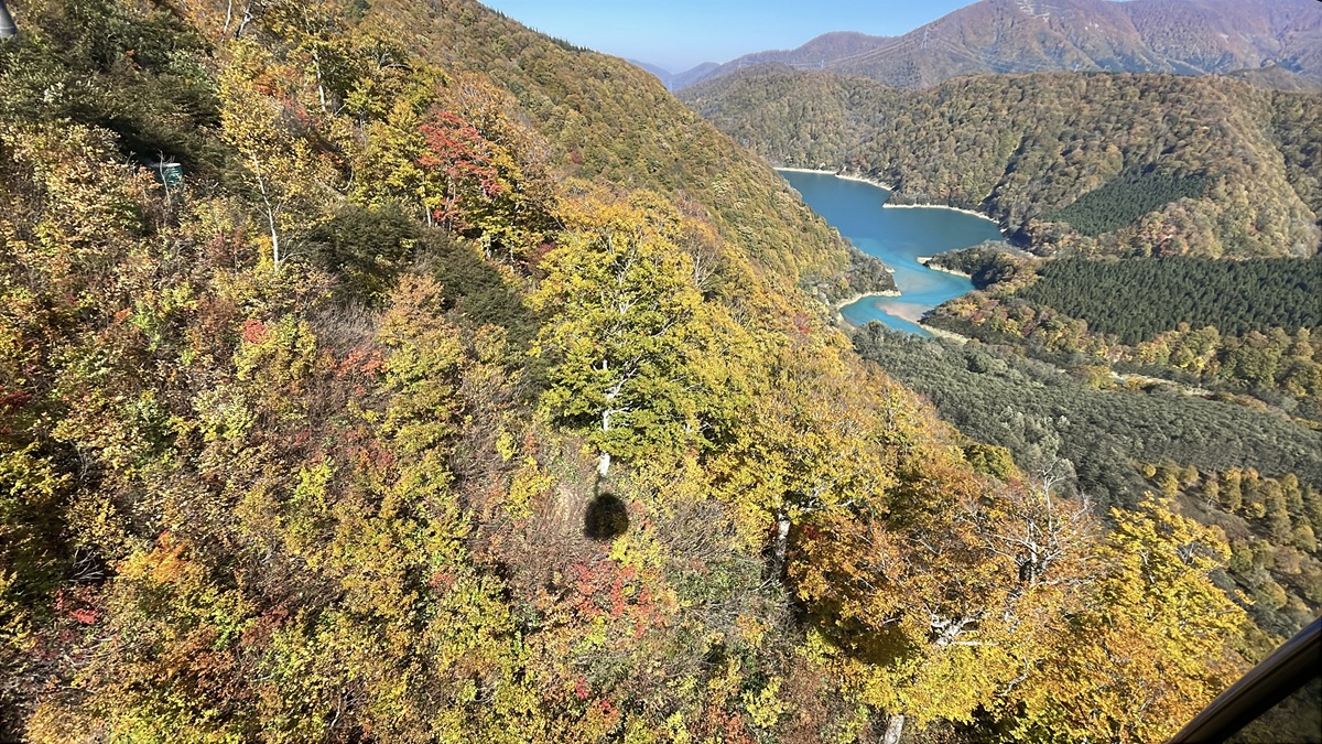 新潟・苗場スキー場・かぐらスキー場、苗場ドラゴンドラ・田代ロープウェー山全体の紅葉が見頃ピークに！2つの日本一を紅葉と楽しむ！