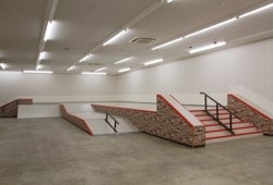 日本初の屋内スケートボード専門アカデミーを開校！2020年 東京オリンピック代表選手輩出を目指す！