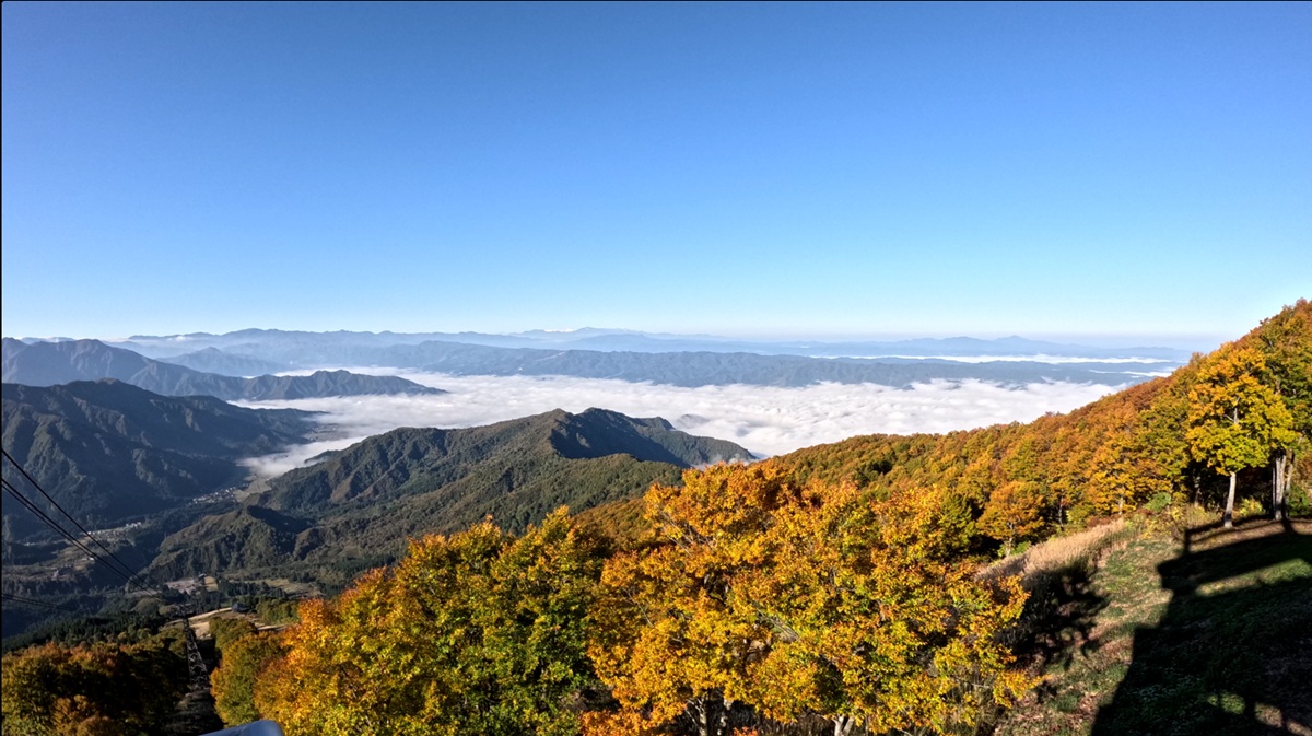 新潟県・八海山ロープウェー、山全体の紅葉が見頃ピークに！雲海とのコラボレーションも。【運行期間】2025年11月16日(日)まで