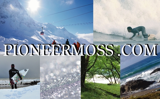 2013−14 MOSS SNOWBOARDS カタログ