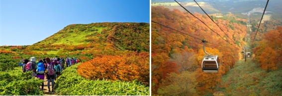 10/1よりマウントジーンズ那須では秋営業がスタート〜深紅に染まる那須高原の紅葉〜