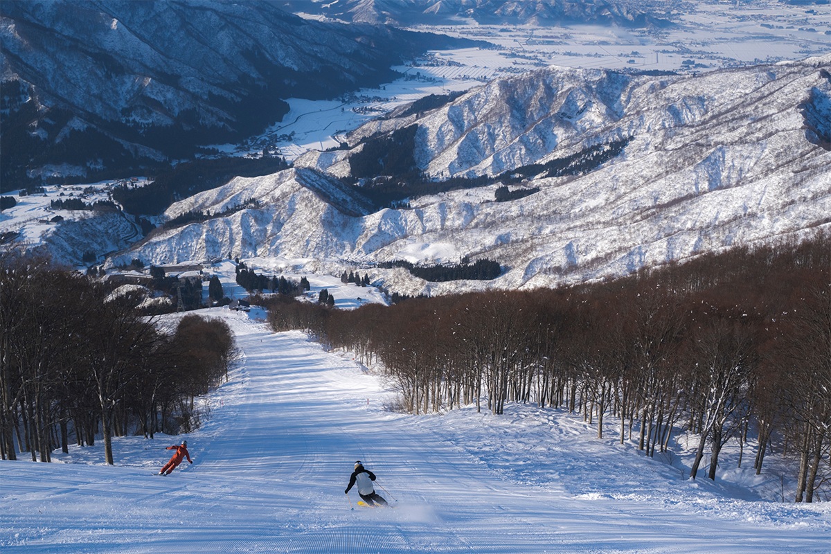 六日町八海山スキー場（新潟県）、雲の上でのプレミアムな1本を。スペシャルファーストトラックプランを販売