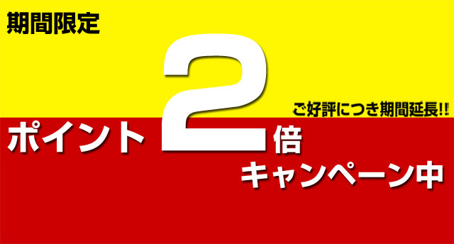 早割リフト券　ポイント2倍キャンペーン実施中　期間限定今だけお得!!