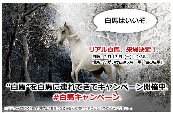 リアル白馬、ホントに来てくれることになりました！”白馬”を白馬に連れてきてキャンペーン好評開催中