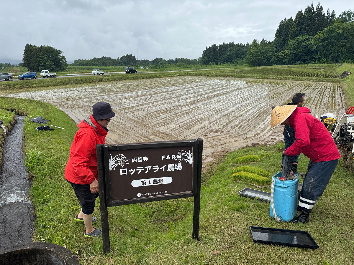 新潟・ロッテアライリゾート『星空米 田植え体験』体験プログラムレポート