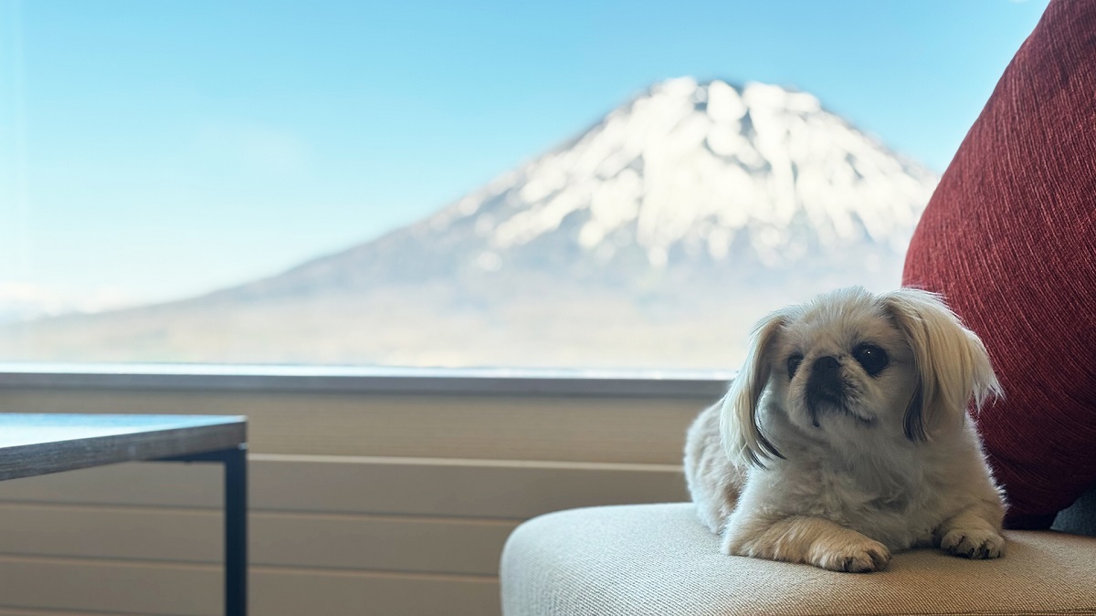 涼やかなニセコで、愛犬と過ごす癒しの秋旅。ニセコビレッジ・ドッグランも無料開放中