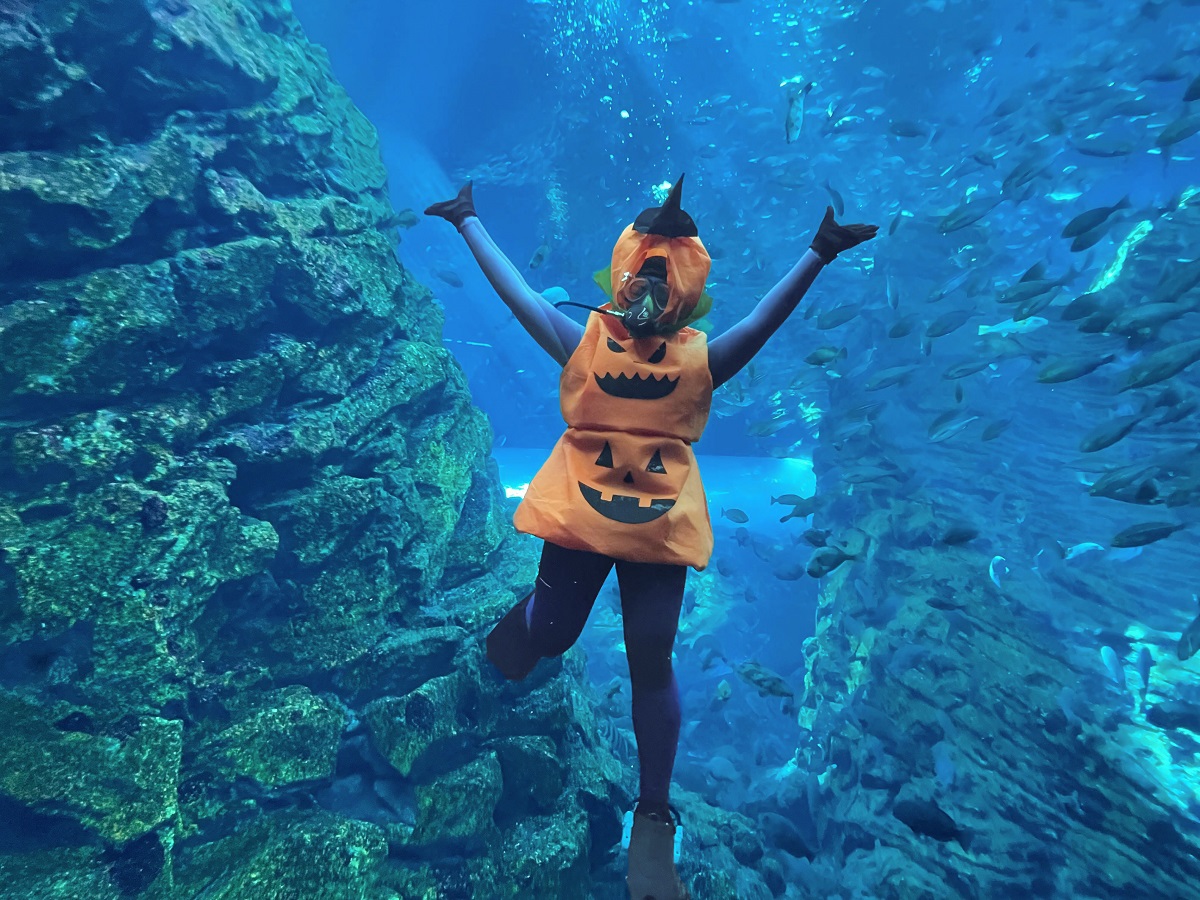 上越市立水族博物館 うみがたり（新潟県）、ハロウィンイベントを10月開催。苗場スキー場、八海山スキー場、杉ノ原スキー場の各ゴンドラ・ロープウェー、および、奥只見湖遊覧船のいずれかのチケットで割引も！