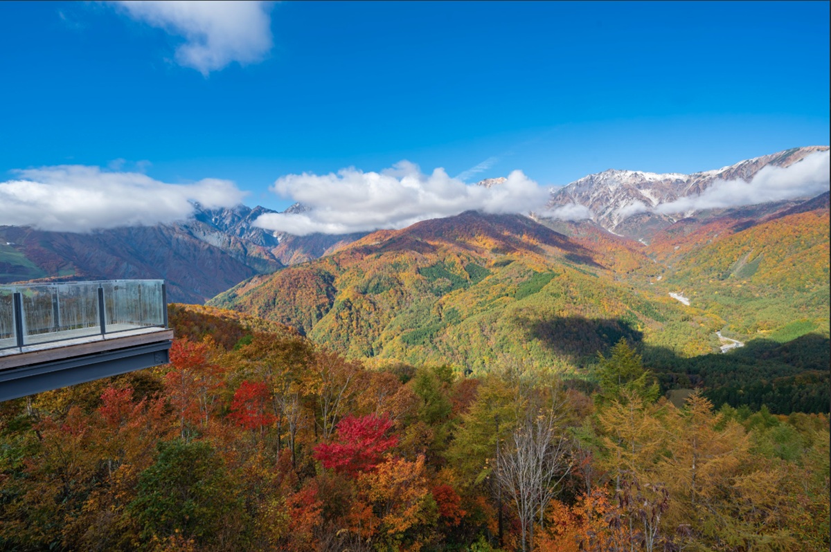 白馬岩岳マウンテンリゾート（長野県）、三段紅葉シーズン到来にあわせナイトイベントを11月8日に開催