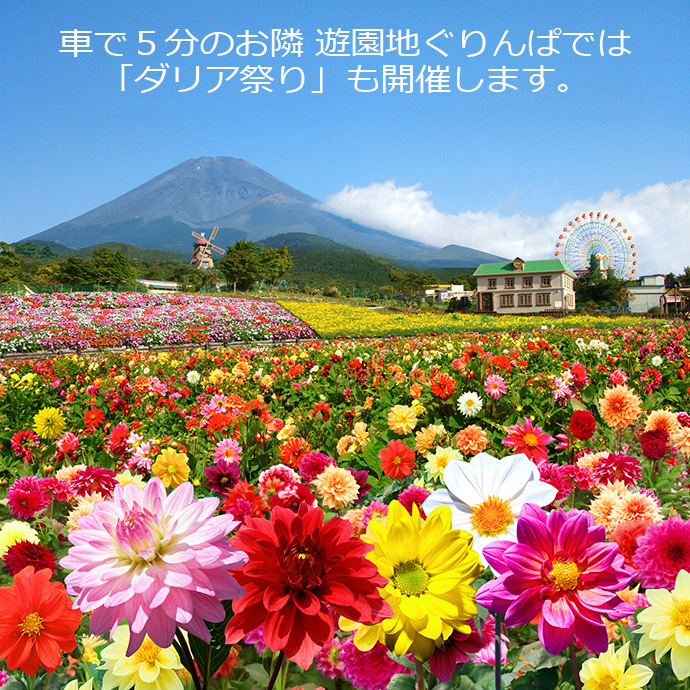 富士山の自然と花々を楽しむフラワーパーク「富士 花めぐりの里」 7/22(土)オープン