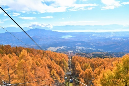 妙高杉ノ原スキー場（新潟県）、妙高の紅葉を満喫「妙高杉ノ原ゴンドラ」10月11日（土）から営業開始